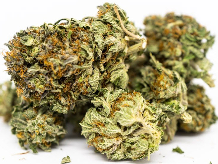 Bubba Kush - Image 2